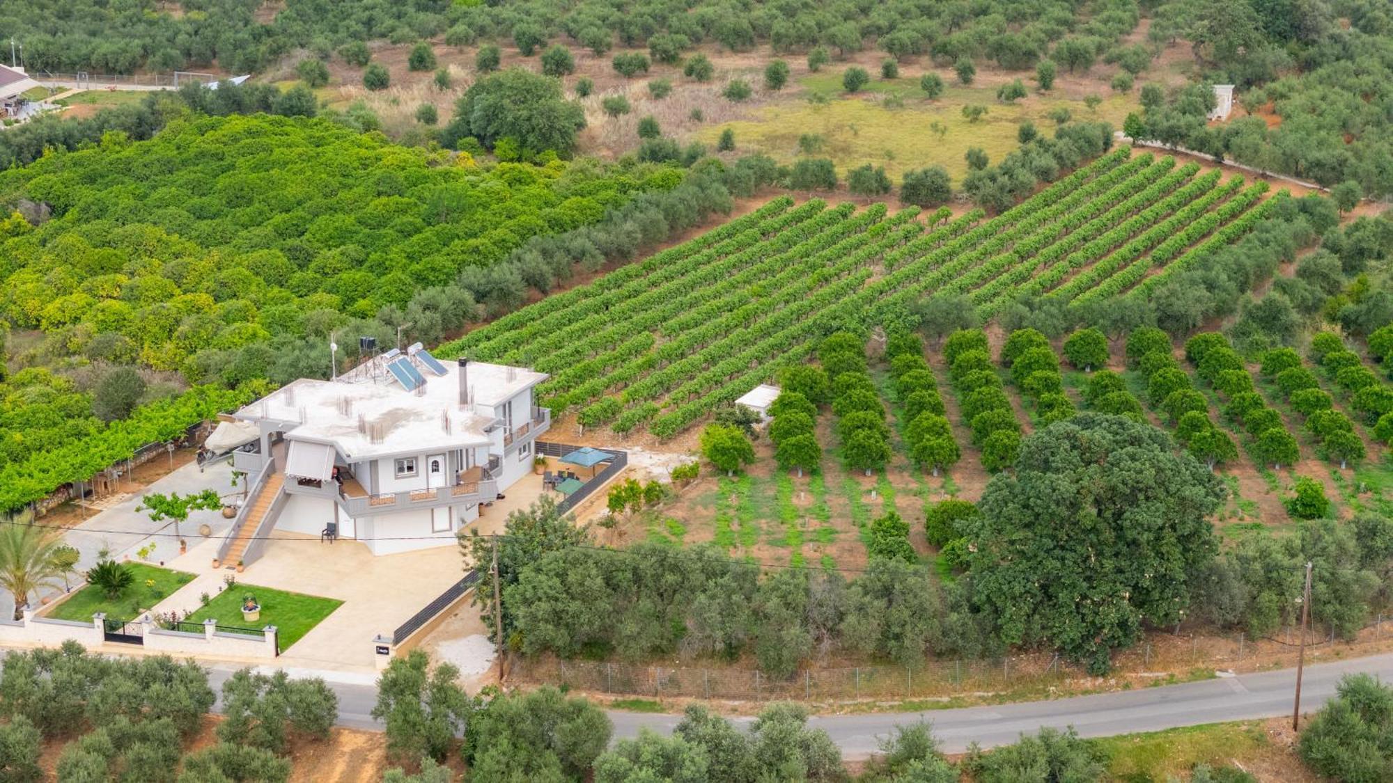 Ampelos Apartment Perivolia (Theriso)